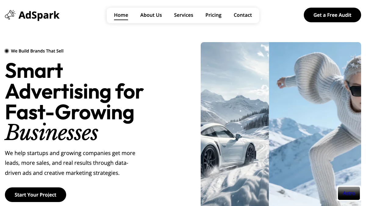 Screenshot of the Ads-park theme homepage