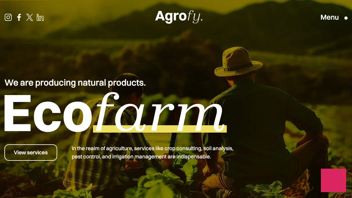 Screenshot of the Agrofy theme homepage