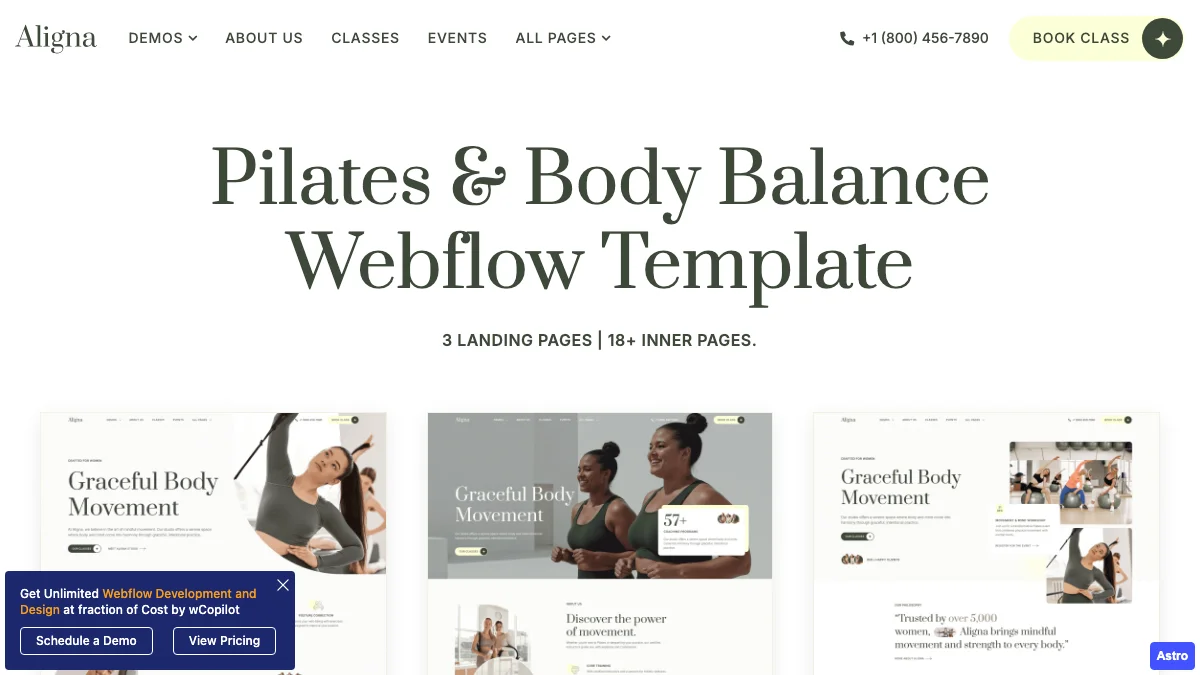 Screenshot of the Aligna theme homepage