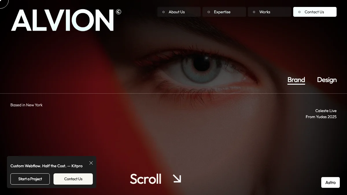 Screenshot of the Alvion theme homepage