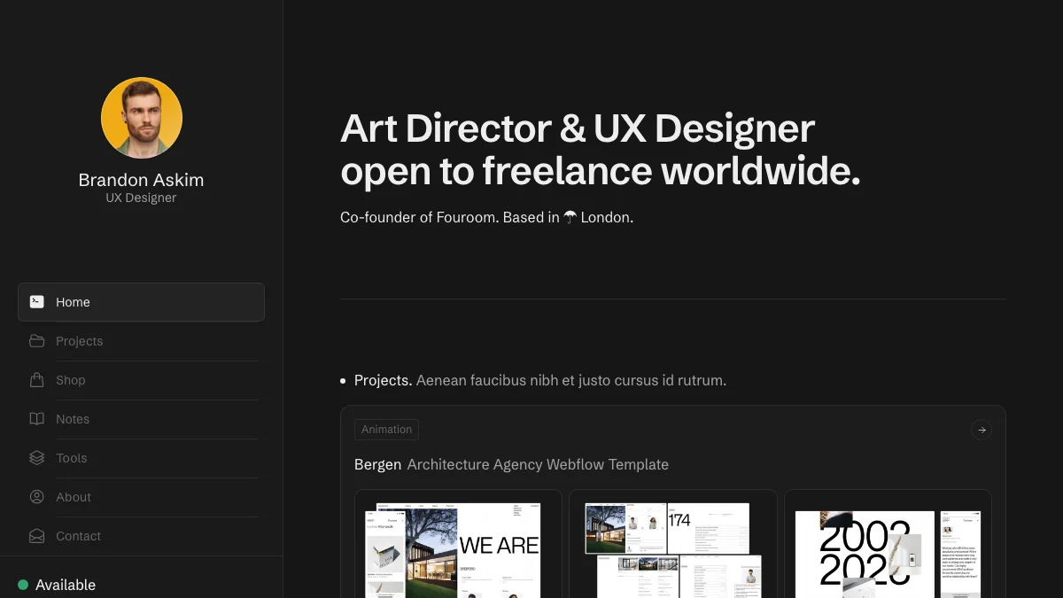 Screenshot of the ASKIM theme homepage