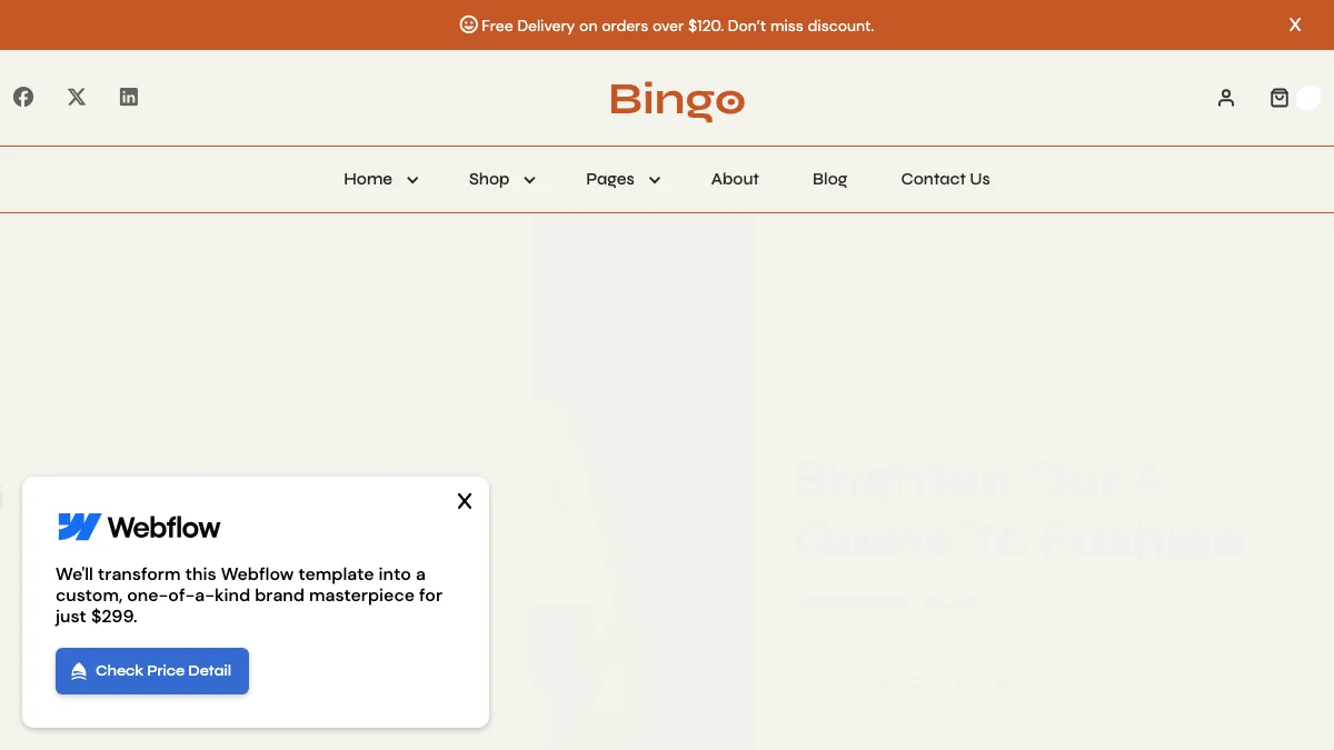 Screenshot of the Bingo theme homepage
