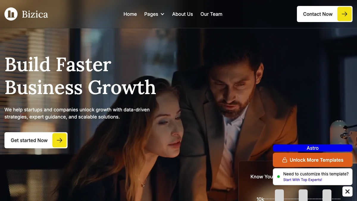 Screenshot of the Bizica theme homepage