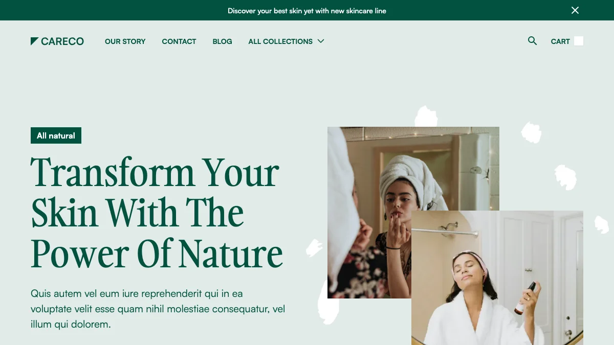 Screenshot of the Careco theme homepage