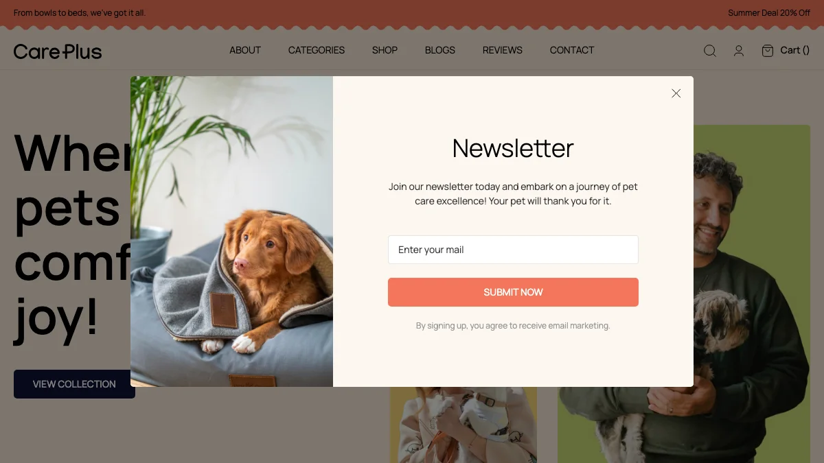 Screenshot of the CarePlus theme homepage