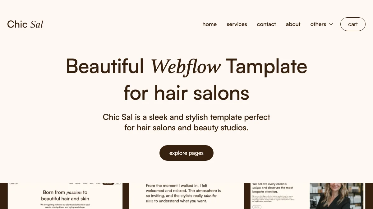 Screenshot of the Chic Sal theme homepage