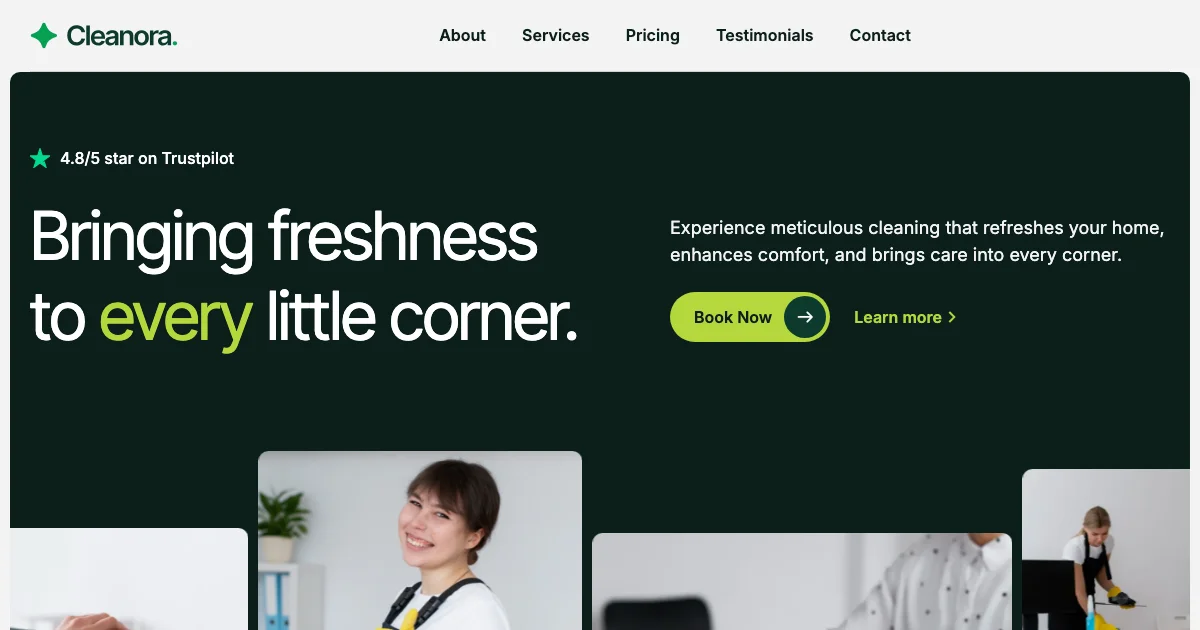 Screenshot of the Cleanora theme homepage