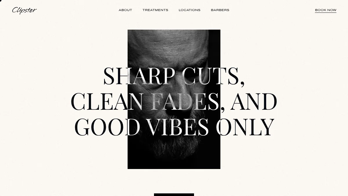 Screenshot of the Clipster theme homepage