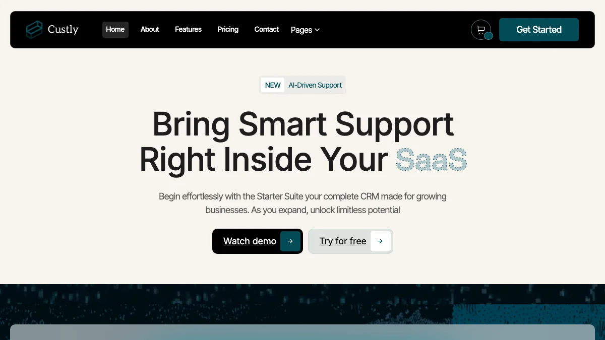 Screenshot of the Custly theme homepage