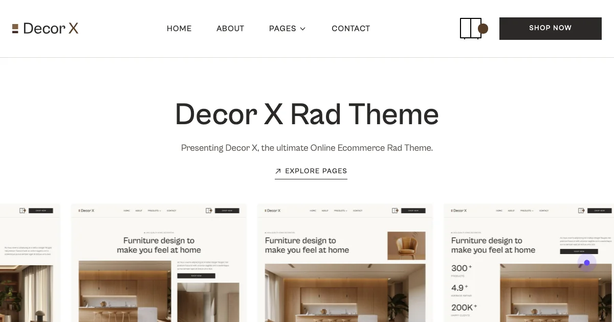 Screenshot of the Decor X theme homepage