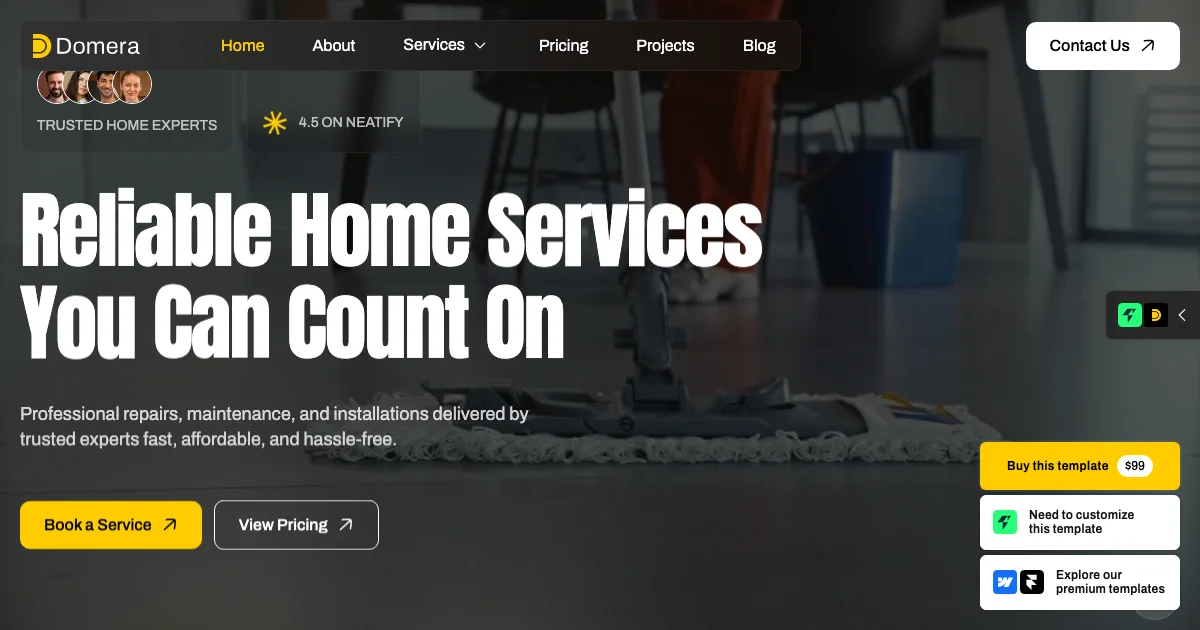 Screenshot of the Domera theme homepage