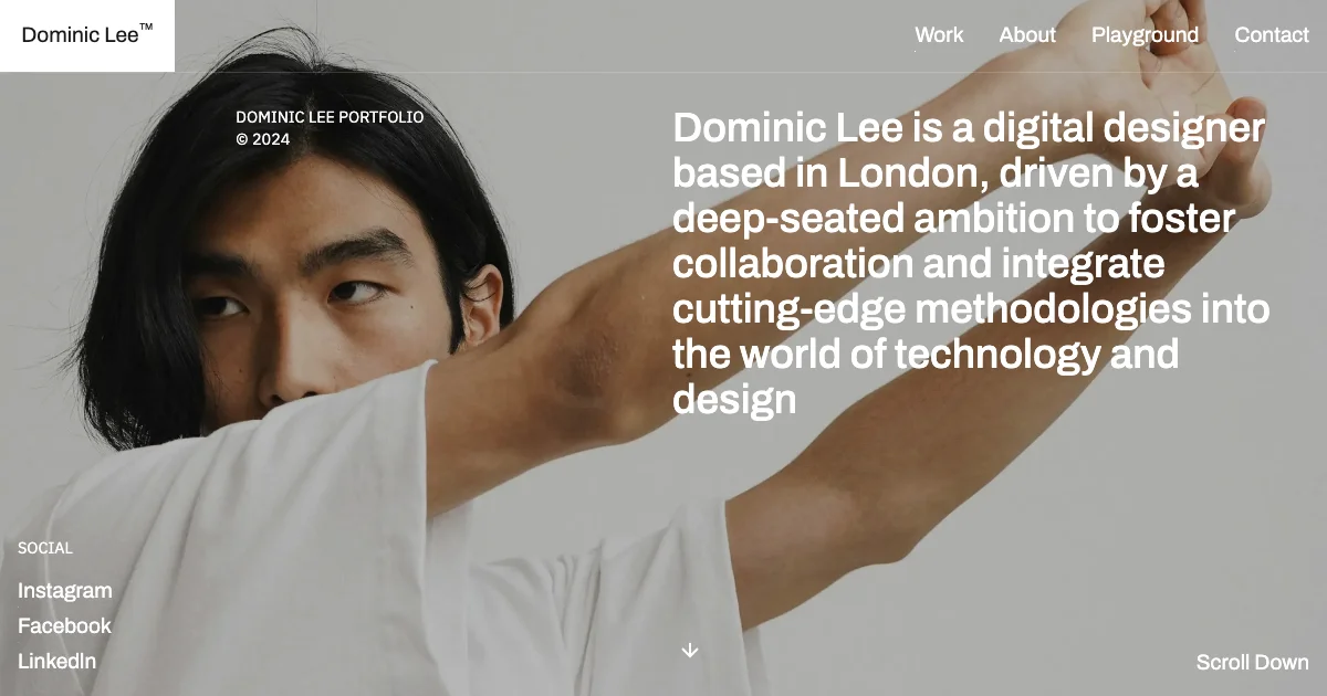 Screenshot of the Dominic theme homepage