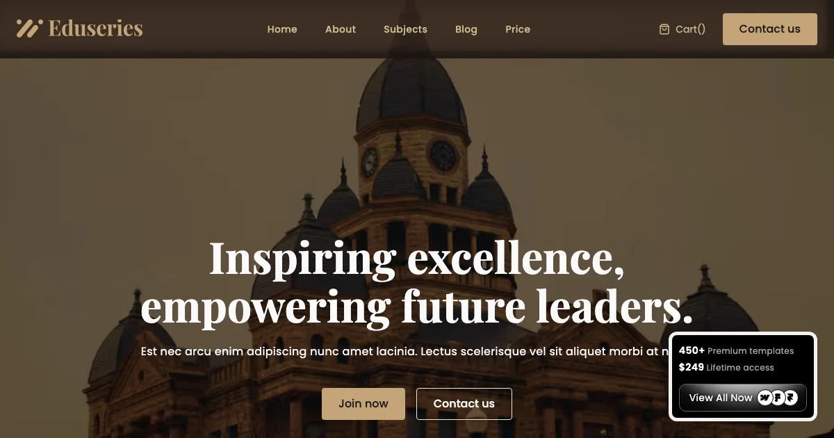 Screenshot of the Eduseries theme homepage