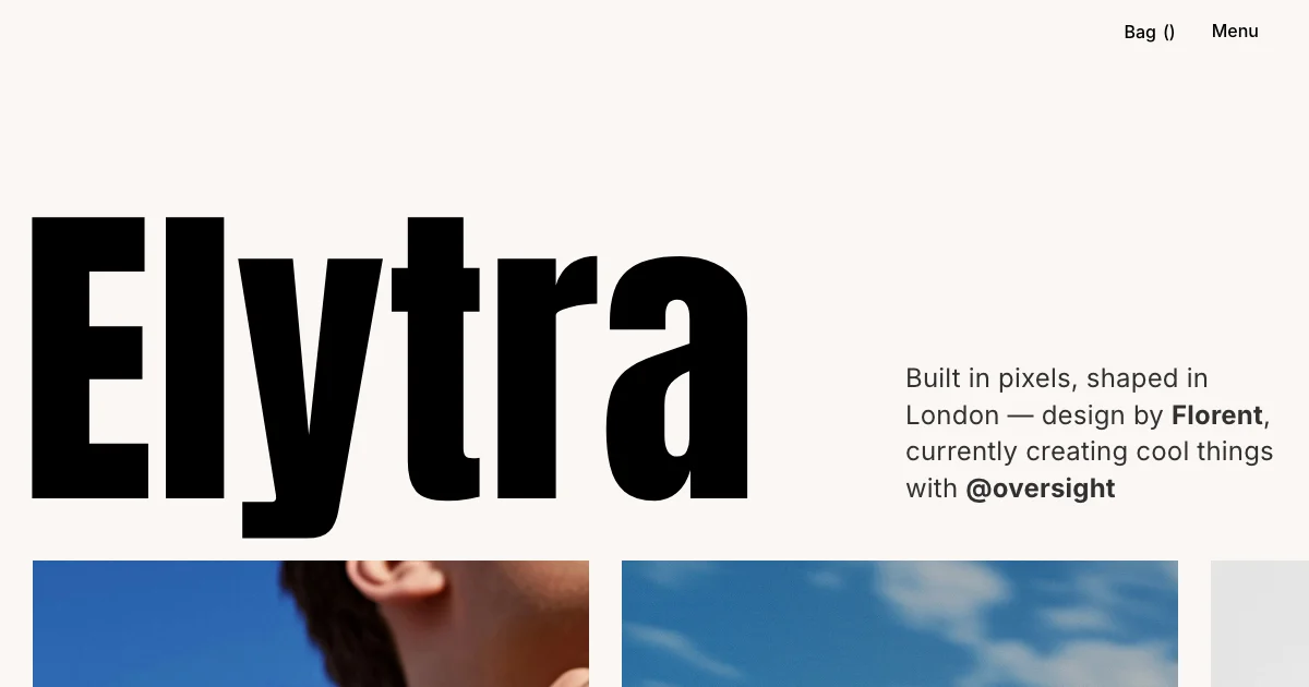 Screenshot of the Elytra theme homepage