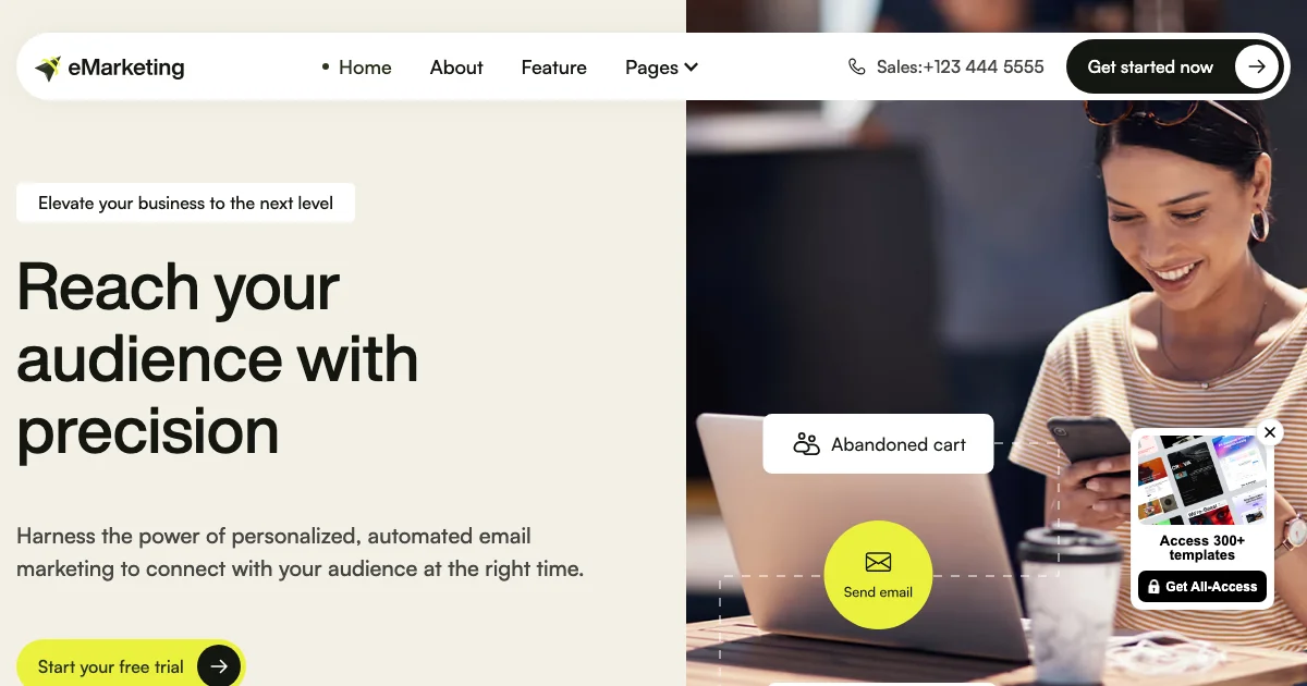 Screenshot of the eMarketing theme homepage