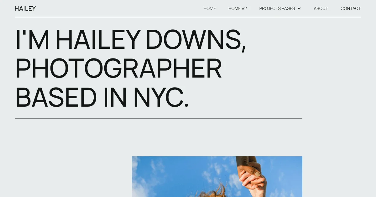 Screenshot of the Hailey theme homepage